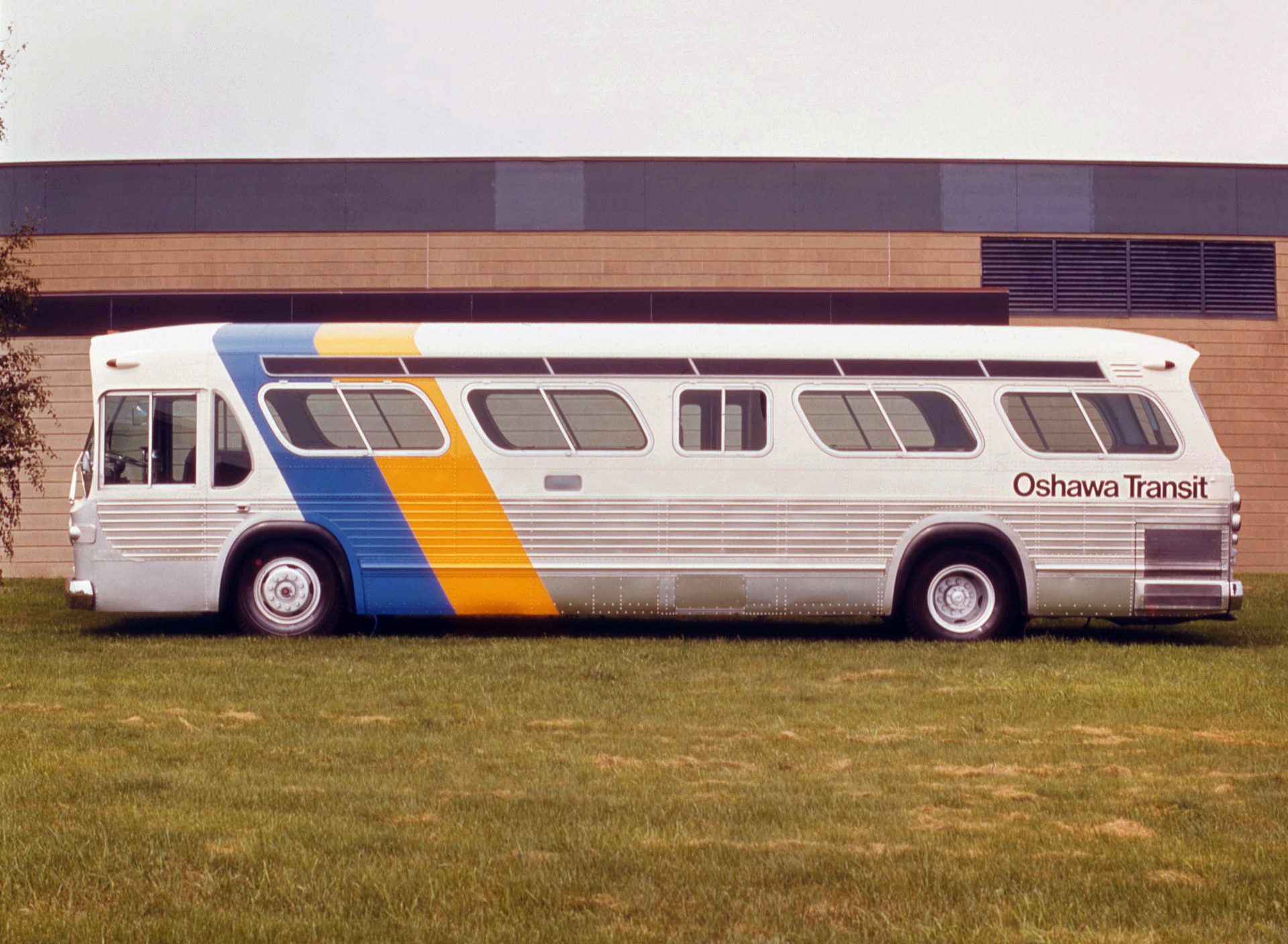 Oshawa Transit Livery - Canada Modern